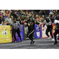 Lehigh Valley Steelhawks vs. the Winston Wildcats