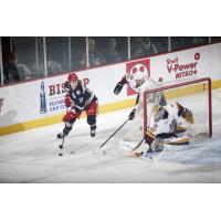 Chicago Wolves Defense vs. the Grand Rapids Griffins