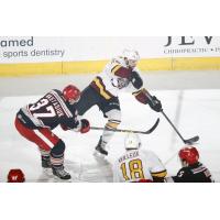 Chicago Wolves F Justin Selman Controls the Puck vs. the Grand Rapids Griffins