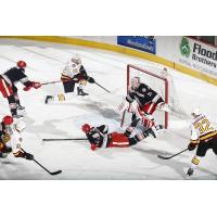 Chicago Wolves Pressure the Grand Rapids Griffins