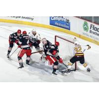 Chicago Wolves and Grand Rapids Griffins Scramble in Front of the Grand Rapids Net