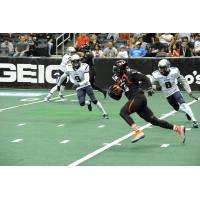 Orlando Predators WR Brandon Thompkins Races through the Portland Steel