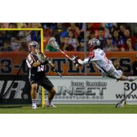 Boston Cannons in Action
