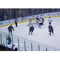 Bloomington Thunder Celebrate vs. the Chicago Steel