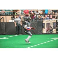 Duke City Gladiators WR Dello Davis