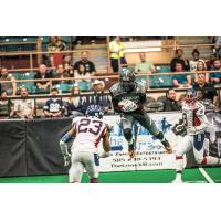 Duke City Gladiators WR Sedrick Johnson vs. the San Angelo Bandits