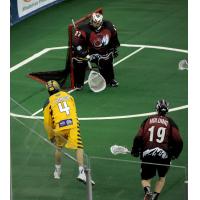 Lyle Thompson of the Georgia Swarm Takes a Shot on the Colorado Mammoth Goal