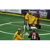 Georgia Swarm Goaltender Brodie MacDonald Stops a Colorado Mammoth Shot