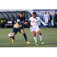 Jacksonville Armada FC Try to Fend off the New York Cosmos