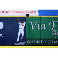 Brevard County Manatees Make a Leaping Attempt at the Wall