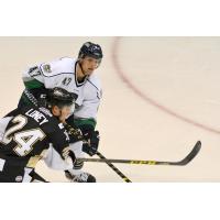 Florida Everblades Defenseman Logan Roe