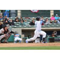 Ian Happ of the Myrtle Beach Pelicans at the Plate