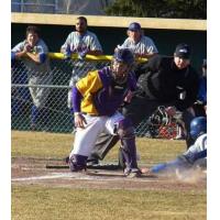 Sioux Falls Canaries Catcher Nolan Johnson at the Plate