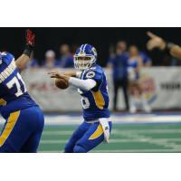 Tampa Bay Storm Quarterback Jason Boltus