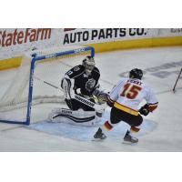 Manchester Monarchs Goaltender Doug Carr vs. the Adirondack Thunder