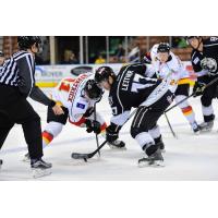 Manchester Monarchs Face off with the Adirondack Thunder