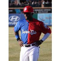 New Hampshire Fisher Cats Roemon Fields in Bipartisan Jersey