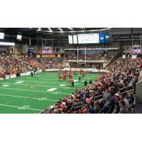 Omaha Beef Game