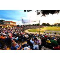 Jackie Robinson Day Celebration Game at Dodgertown