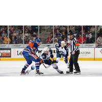 Bakersfield Condors vs. the Milwaukee Admirals