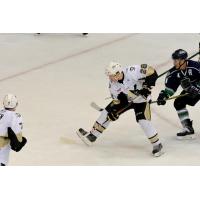 Wheeling Nailers vs. the Florida Everblades