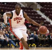 Windsor Express Forward Chris Commons