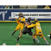 Miles Thompson of the Georgia Swarm vs. the New England Black Wolves
