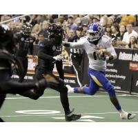 Tampa Bay Storm WR Phillip Barnett Runs for a TD vs. the Arizona Rattlers