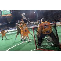 Georgia Swarm and the Rochester Knighthawks Battle for Possession