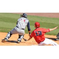 Steve Selsky Comes in to Score for the Louisville Bats against the Toledo Mud Hens