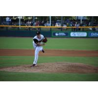 Jacksonville Suns Pitcher Austin Brice Delivers