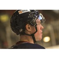 Justin Kocavs of the Kalamazoo Wings