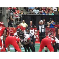 Orlando Predators QB Randy Hippeard vs. the Jacksonville Sharks