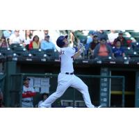 Matt Dominguez of the Buffalo Bisons