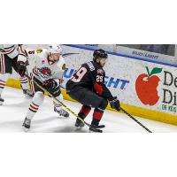 Lake Erie Monsters vs. the Rockford IceHogs