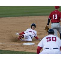 Andrew Benintendi of the Salem Red Sox
