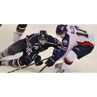 Bakersfield Condors Signee, LW Scott Allen