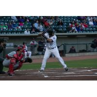 Gerson Montilla at Bat for the Winston-Salem Dash