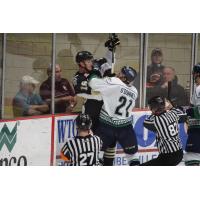 Florida Everblades vs. the Wheeling Nailers