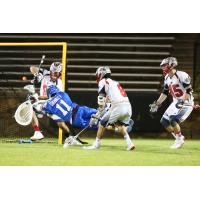 Charlotte Hounds Score vs. the Boston Cannons