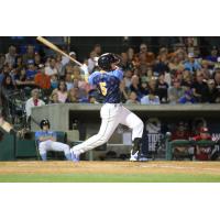 Myrtle Beach Pelicans IF Ian Happ