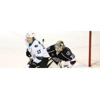 Ontario Reign vs. the San Jose Barracuda