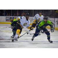 Mississippi RiverKings Captain Leo Thomas vs. the Pensacola Ice Flyers