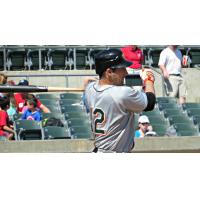 Dan Lyons Homers for the Long Island Ducks