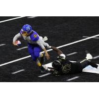 Lehigh Valley Steelhawks vs. the Philadelphia Yellow Jackets