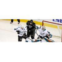 Ontario Reign Challenge the San Jose Barracuda