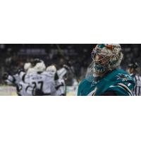 San Jose Goaltender Aaron Dell Watches the Ontario Reign Celebrate