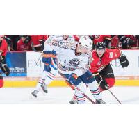 Bakersfield Condors in Los Condors Jersey