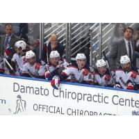 Hartford Wolf Pack Bench