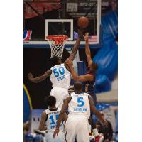 Texas Legends Center Micheal Eric in Action